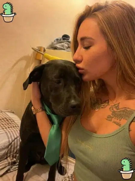 Loving, soft, friendly.